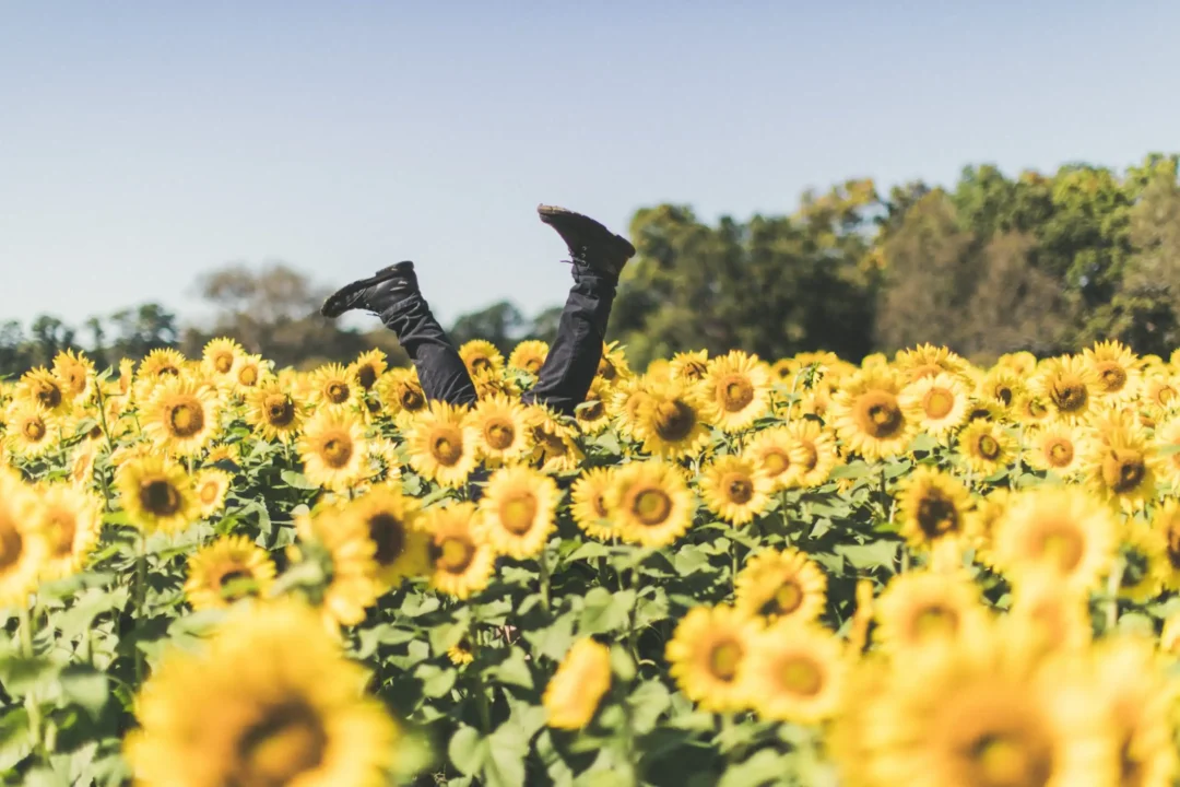 Felicidad: qué y cómo